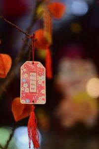 tải game Nohu